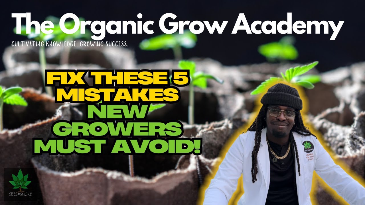 5 Common Mistakes New Indoor Growers Make (And How to Fix Them!)