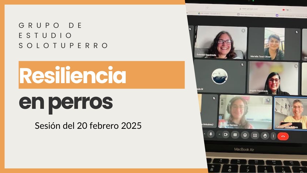 Resiliencia en perros - Grupo de estudio Solotuperro