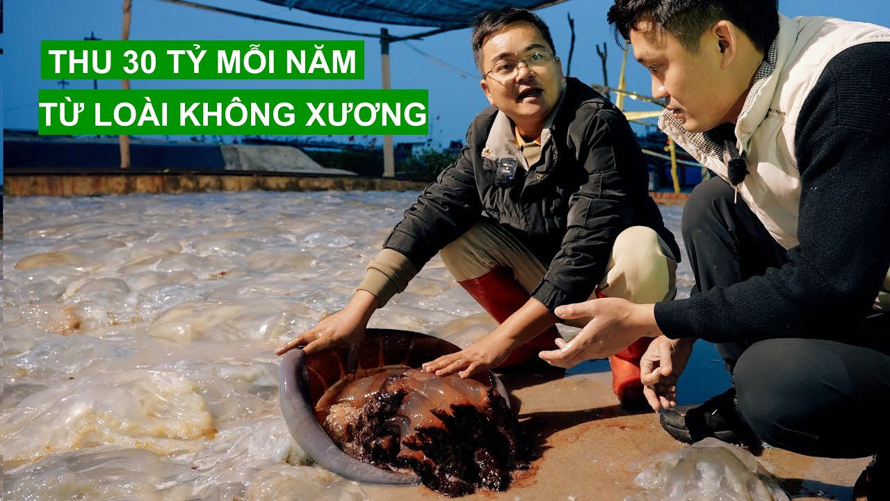 Thu 30 Tỷ Mỗi Năm Từ Quyết Định Bỏ Phố Về Quê | Người Đặc Biệt