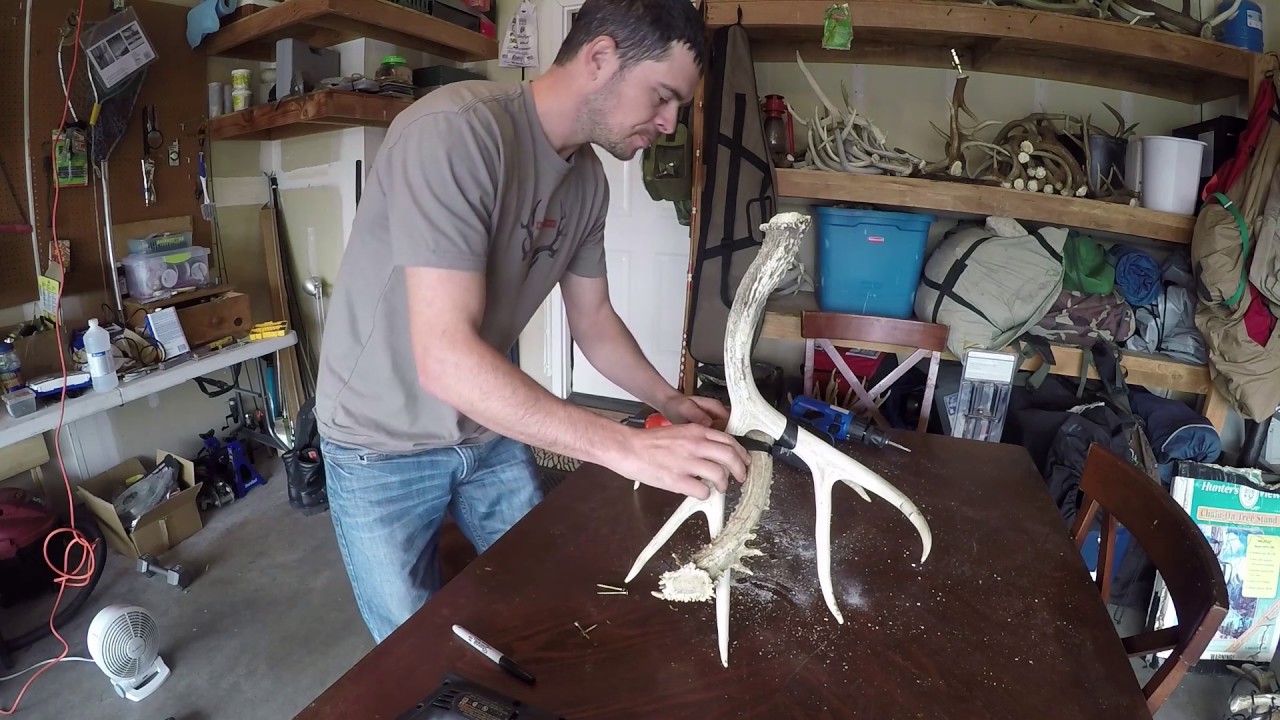 DIY Antler Lamp