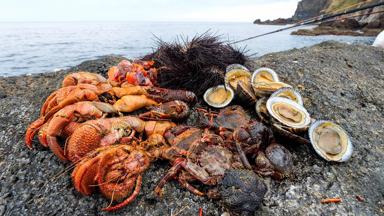 7種類の豪華すぎる餌を用意。磯釣り名人とともに底物師の夢・石鯛を追う【福江島遠征】