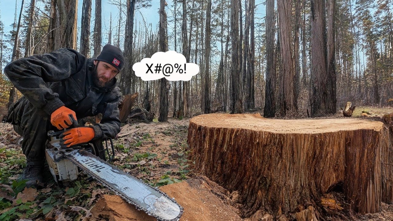 Мы должны были это предвидеть