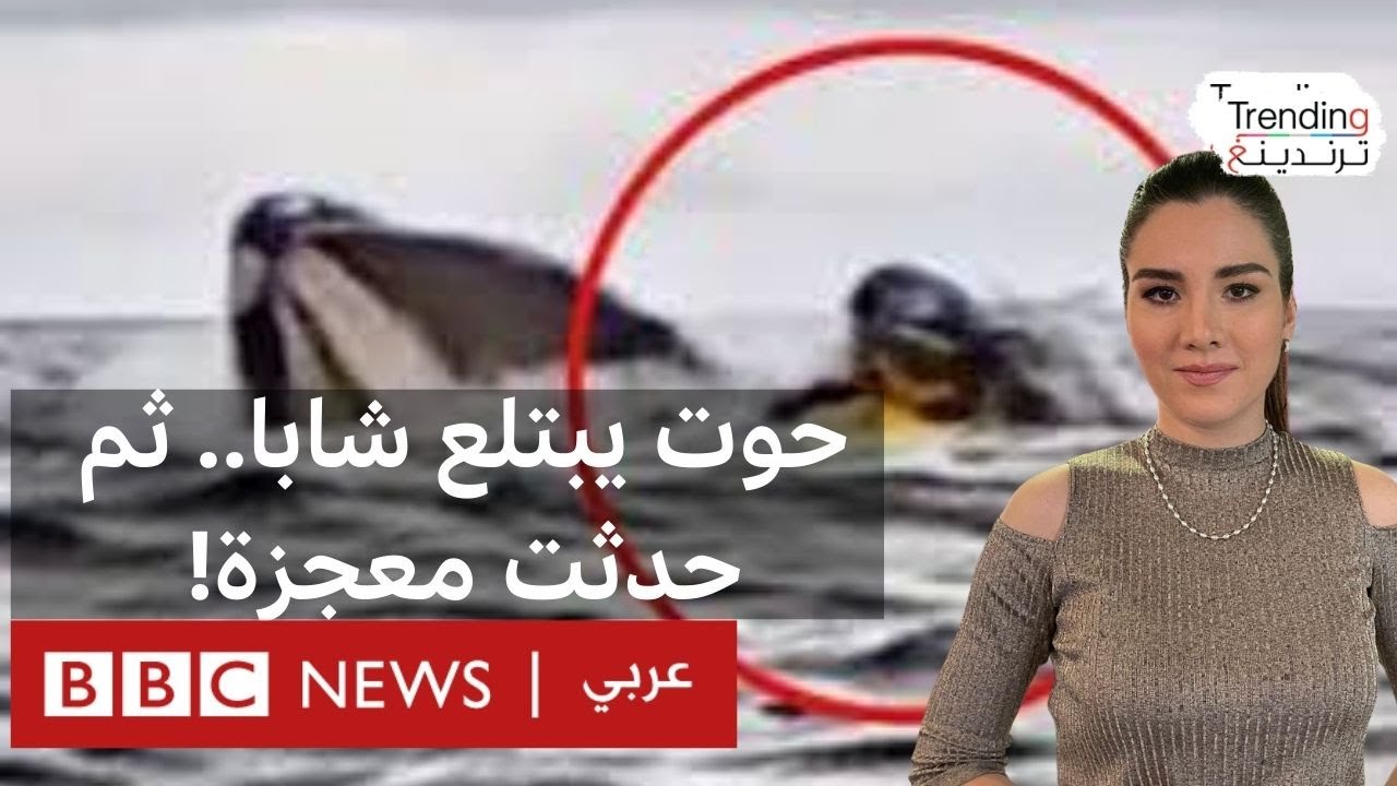 حوت يبتلع شابا.. ثم حدثت معجزة!