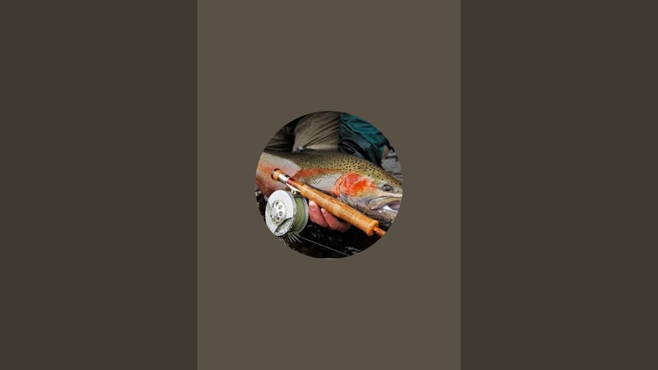 PESCUIT BABUȘCĂ LA MUSCA ARTIFICIALA LIVE 2410-2023