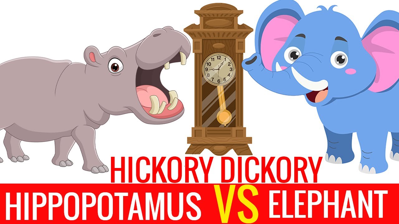 Hickory Dickory Dock Hippo vs Elephant Song - THE BOOMERS Preschool Songs for Circle Time