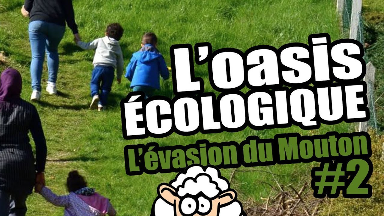 OASIS ÉCOLOGIQUE - L'évasion du Mouton #2