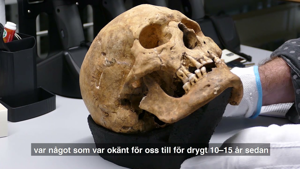 Vikingarnas filade tänder