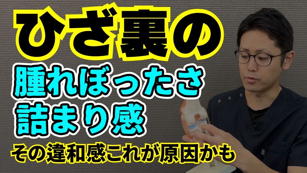 膝裏の腫れぼったさ、痛み、つまり感などの違和感の正体とは？その原因とストレッチ｜京都市北区　もり鍼灸整骨院