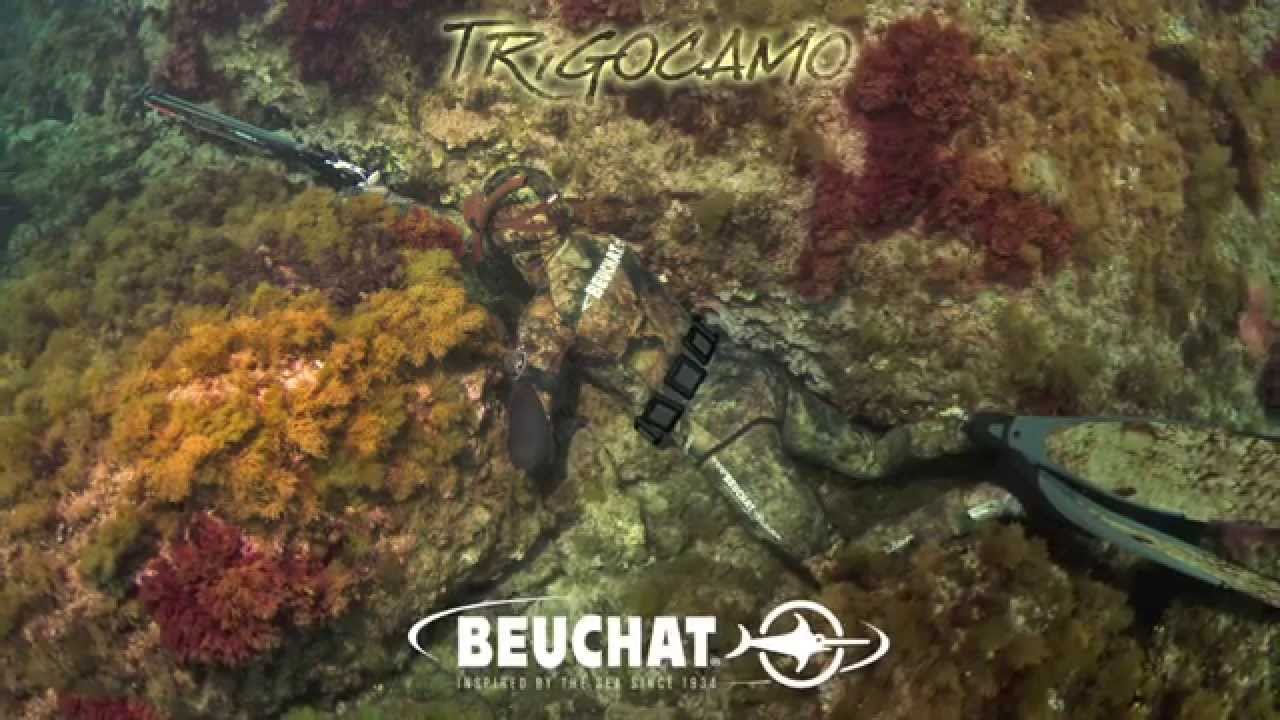Trigocamo HD Eng