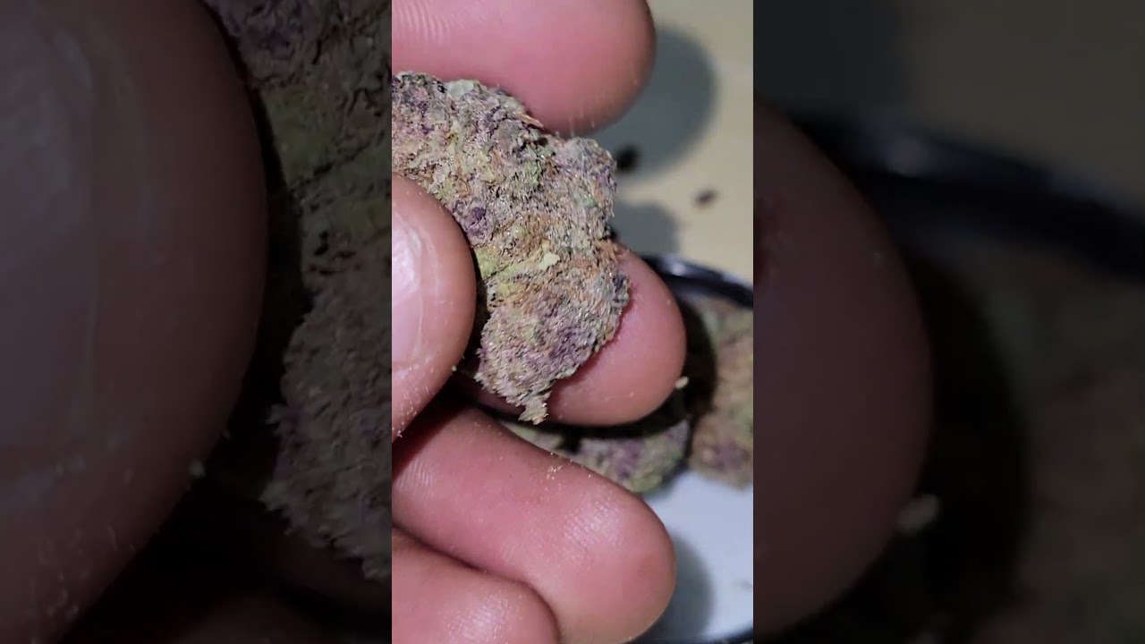 Pink Lemonade cultivated by Phat Panda