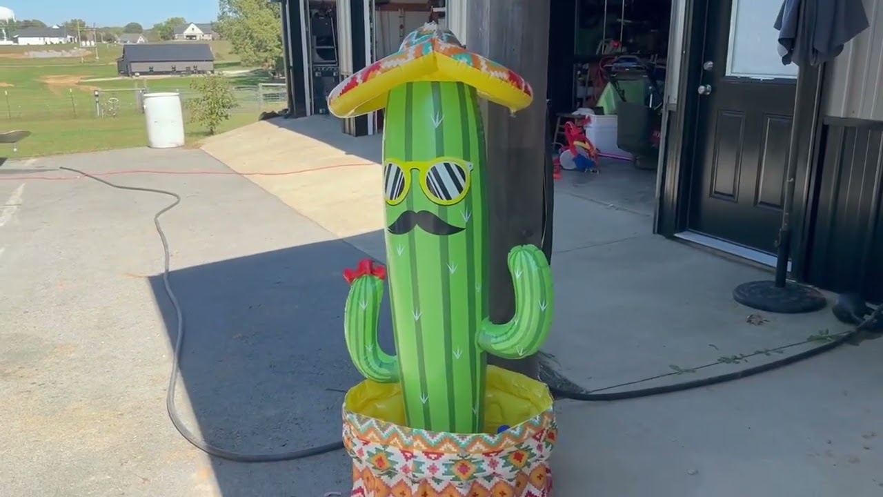 Triumpeek Inflatable Cactus Cooler has many other Uses for Our Family