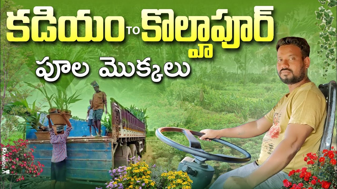 kadiyam to Kolhapur polamakkalu loading travelling video rafi truck vlogs