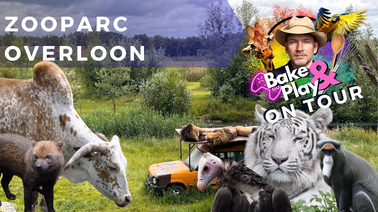 Bake & Play on Tour - Zooparc Overloon - Vlog