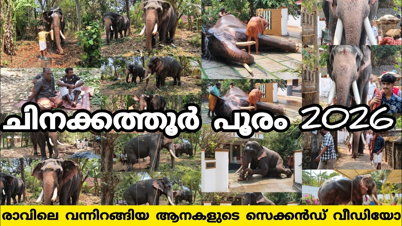 ചിനക്കത്തൂർ പൂരം 26 രാവിലെ വന്നിറങ്ങിയ ആനകളുടെ സെക്കൻഡ് വീഡിയോ