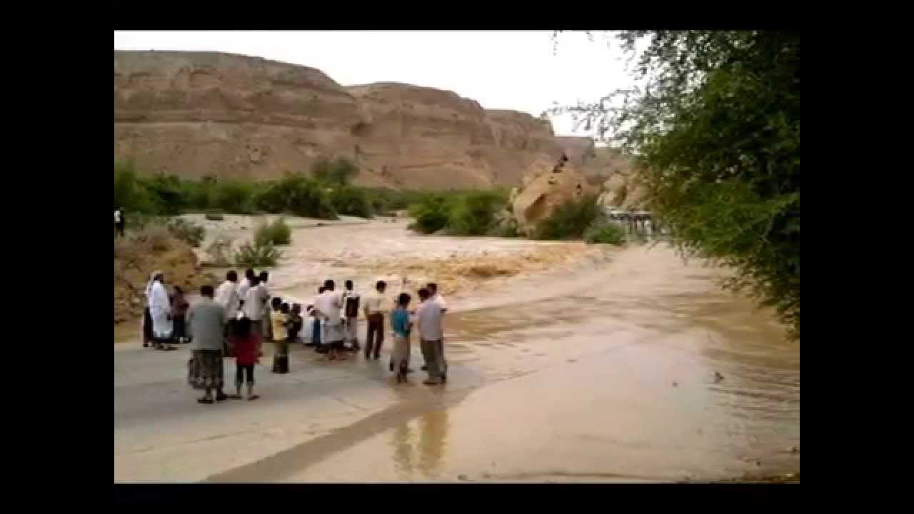 وادي العين جنة (الفنان عدنان العطاس)
