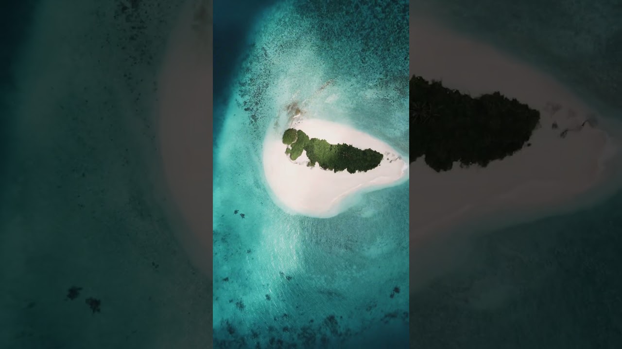 Highlights of Raa Atoll in The Maldives #islandlife #expedition #ocean #maldives #fyp #mantaray #eco