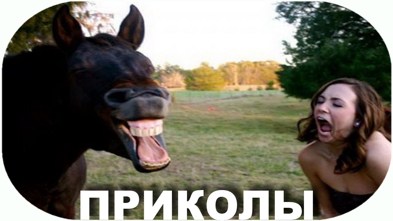 Best Fails Лучшие Приколы #35    Fail Compilation  August 2015