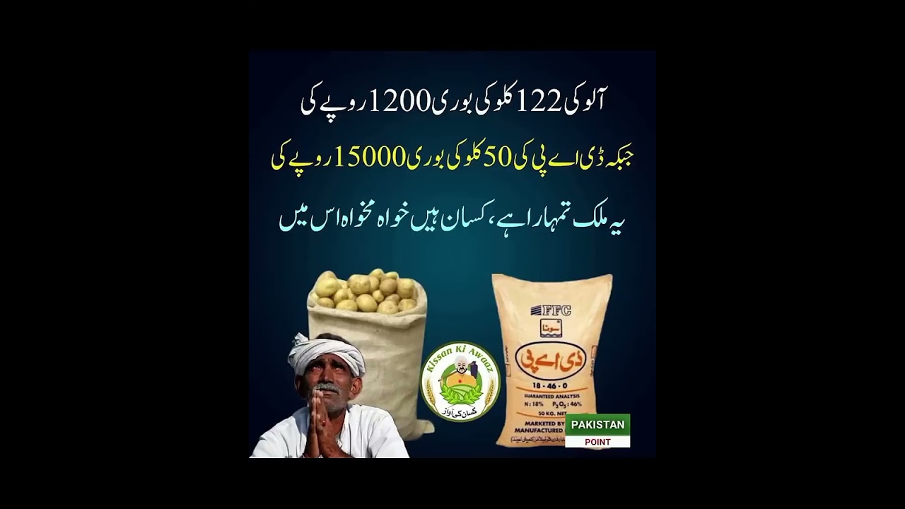 Aloo 122 Kilo = 1200 Rs 😢 DAP 50 Kilo = 15000 Rs! | Kisaan Ki Awaz | Pakistan Ka Haal