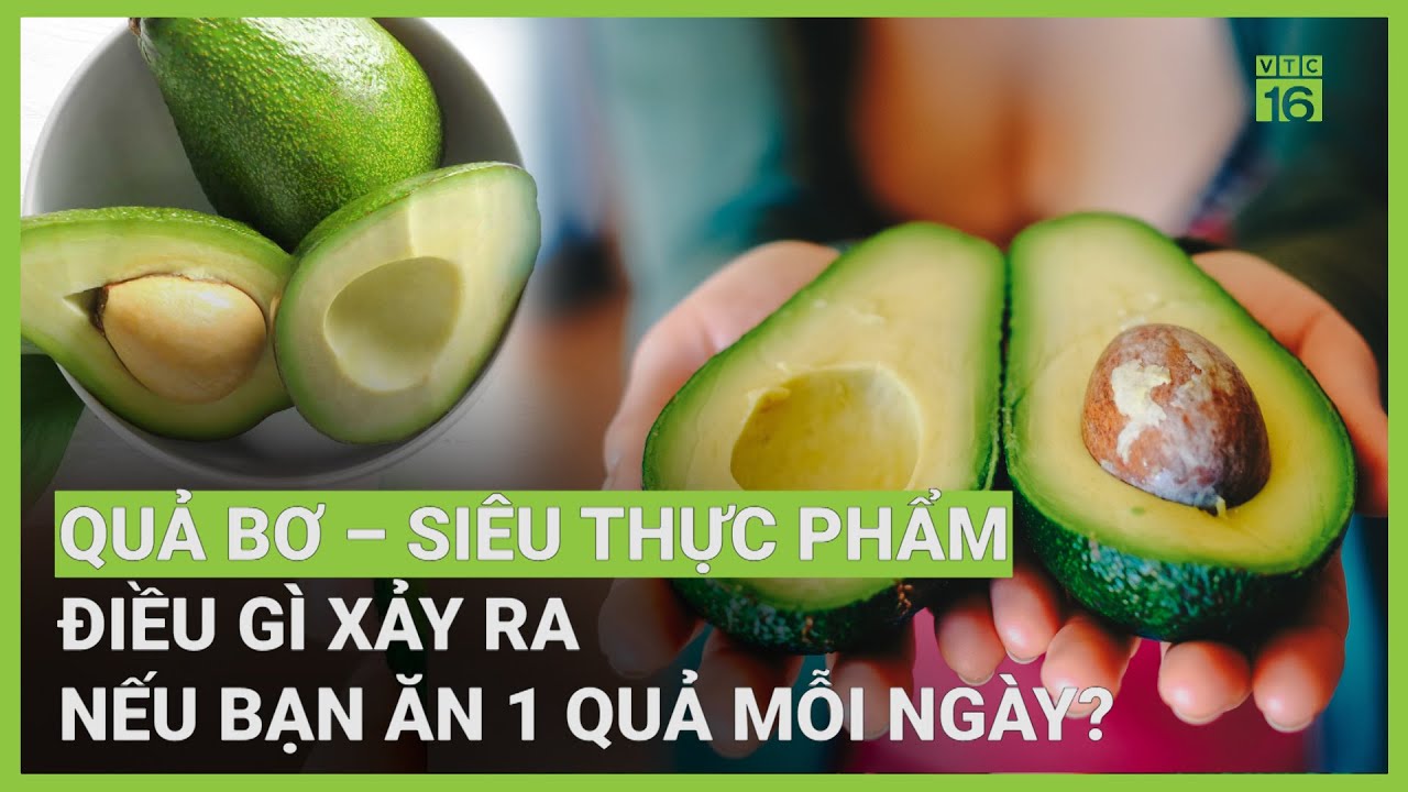 Quả bơ: Siêu thực phẩm giá rẻ, công dụng khó tin | VTC16