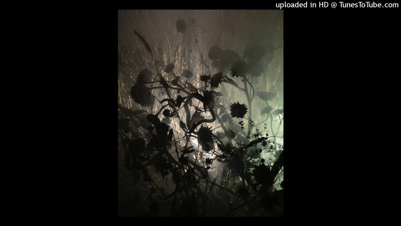 free ambient + lovemusic + fenix darko type beat - 