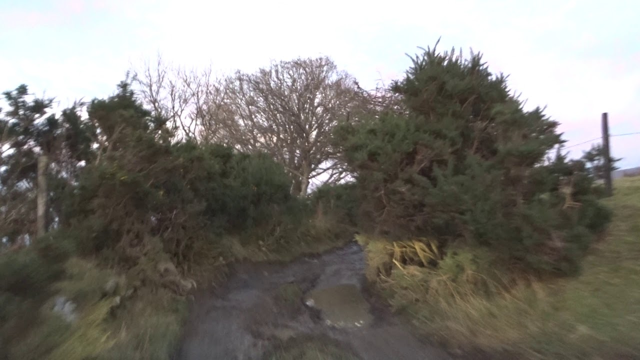 Lane016b Wayfarer Barmouth 2 Corwen29Dec19