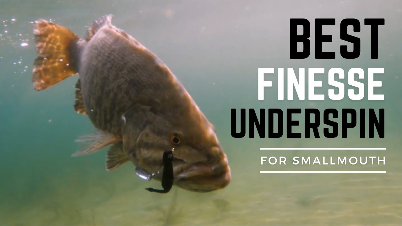 Sneaky Underspin. The next HUGE thing in Smallmouth fishing.