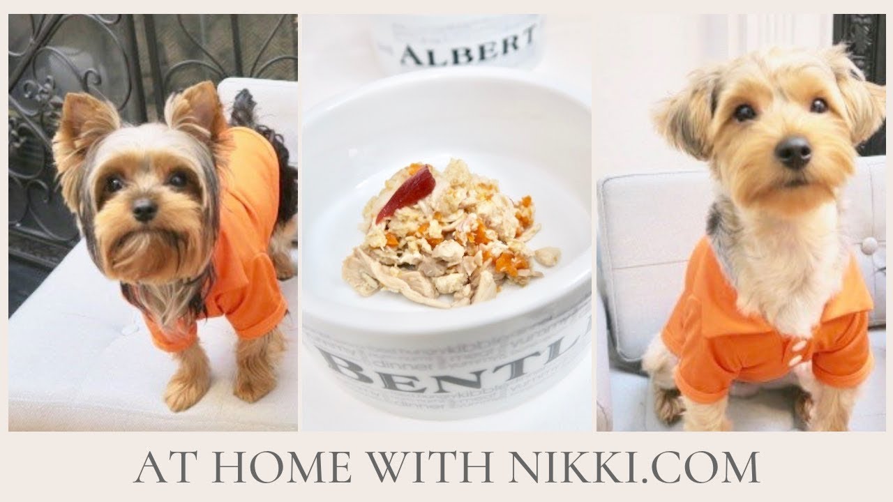 PET RECIPES | WHAT WE ATE | PET EDITION
