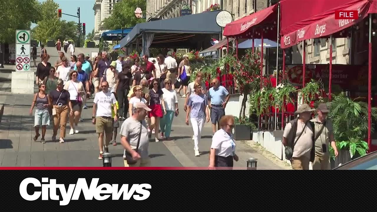 Montreal tour guides denounce by-law requiring certification