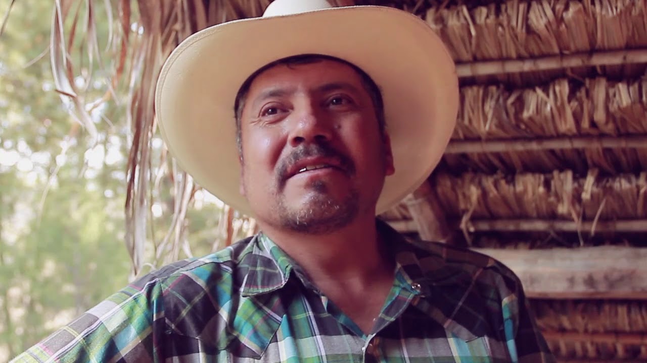 Huapango arribe&ntilde;o: La vihuela