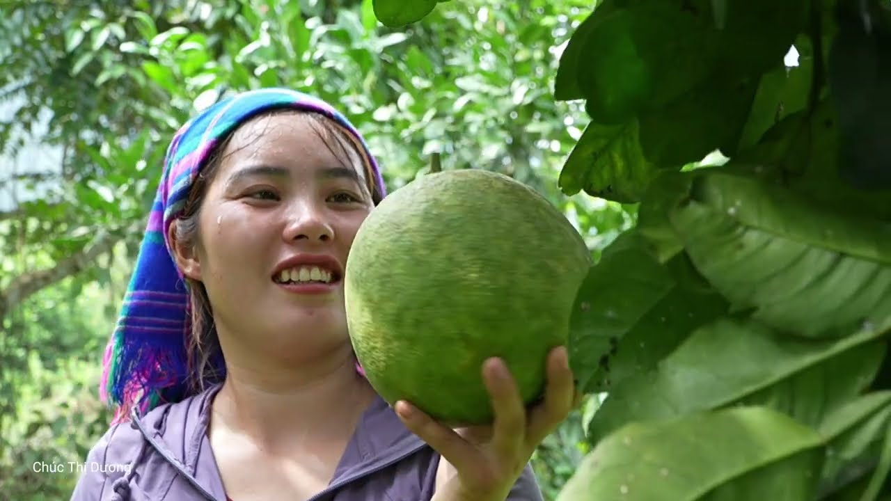 Harvesting Giant Grapefruits with My Kids – Selling at the Market and Boiling Chicken for Lunch