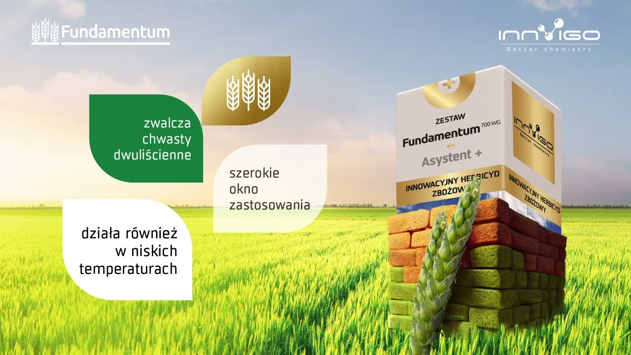 Herbicyd Fundamentum 700 WG do zb&oacute;ż | Wiosenne🍃 i jesienne zwalczanie chwast&oacute;w w zbożach