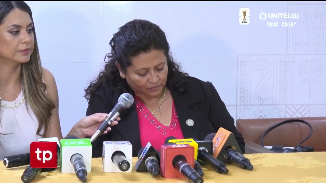 Santa Cruz y Cochabamba son los departamentos más afectados por la chikungunya