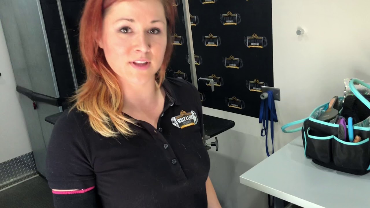 A Tour Of Our Grooming Van!