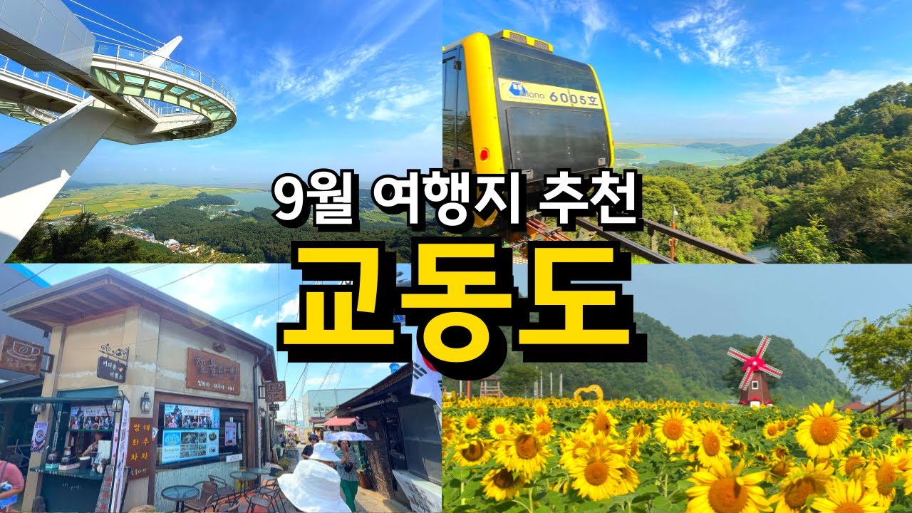 9월에 반드시 가야 하는 교동도 당일치기 여행지!(이번주 절정) / 국내여행 서울근교 강화도 가볼만한곳 / 화개정원 해바라기축제