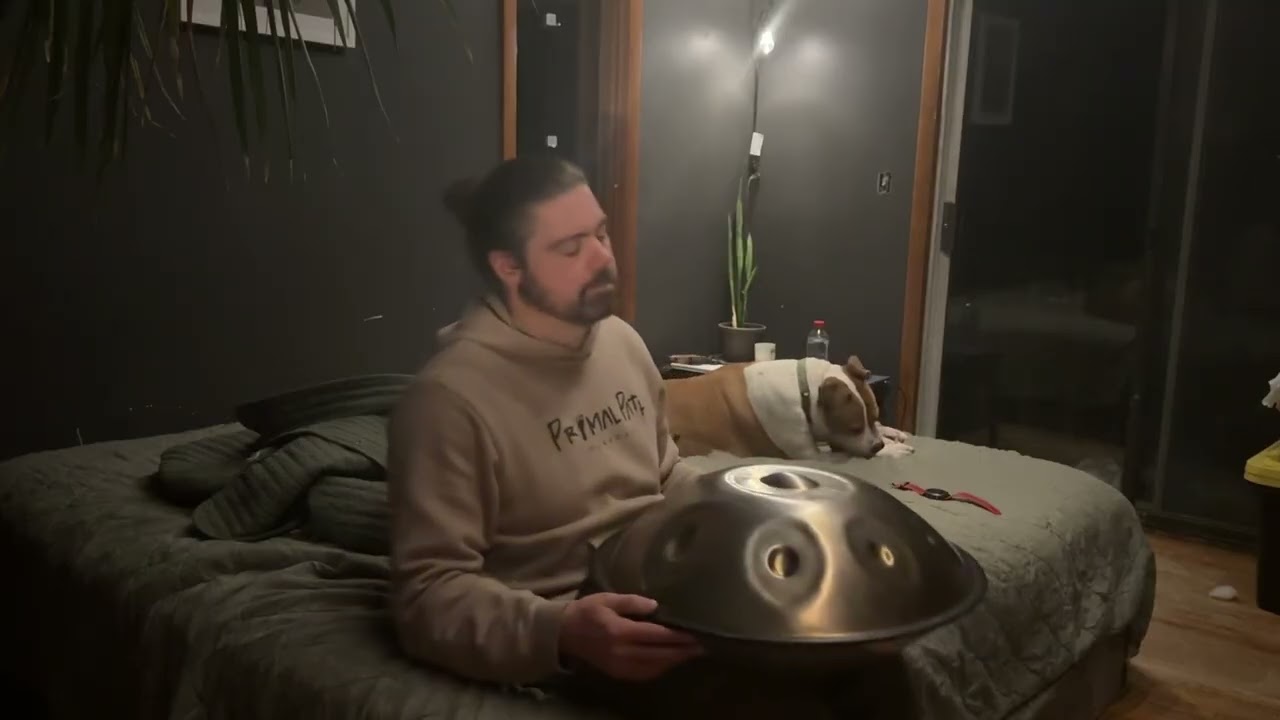 Day 103 [PanJam] RAV Vast: D Celtic Handpans: D Kurd Eb Ostara F Low Pygmy - December 2 2025