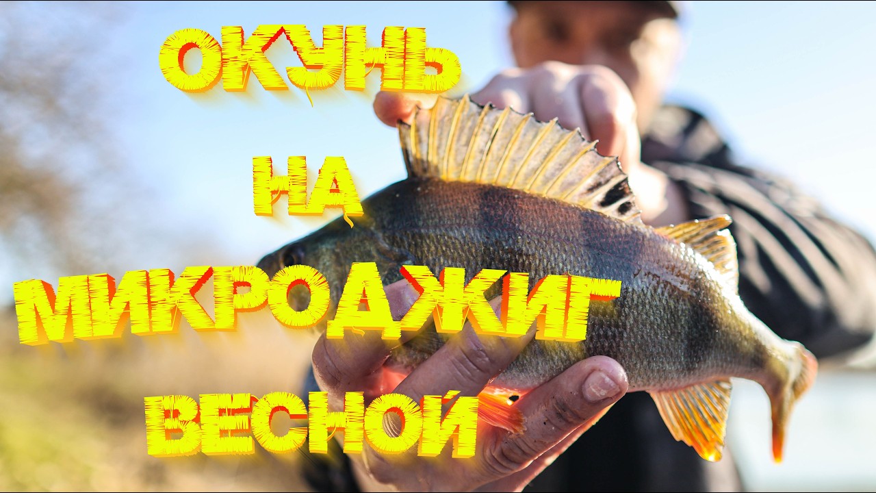 ОКУНЬ на МИКРОДЖИГ ВЕСНОЙ 2026 💪💪💪 Открытие сезона рыбалок на СПИННИНГ 👍