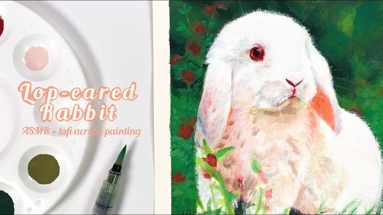 ASMR + Lofi | sketching, erasing, water, and brushing sounds (no talking) | Lop-eared rabbit