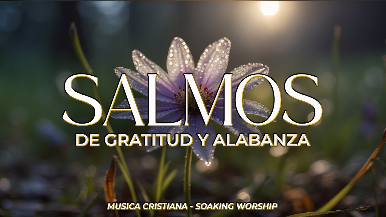 SALMOS CANTADOS del REY DAVID 👑 | Gratitud y Alabanza al Señor 🙌 La BIBLIA hecha CANCIÓN 🎶