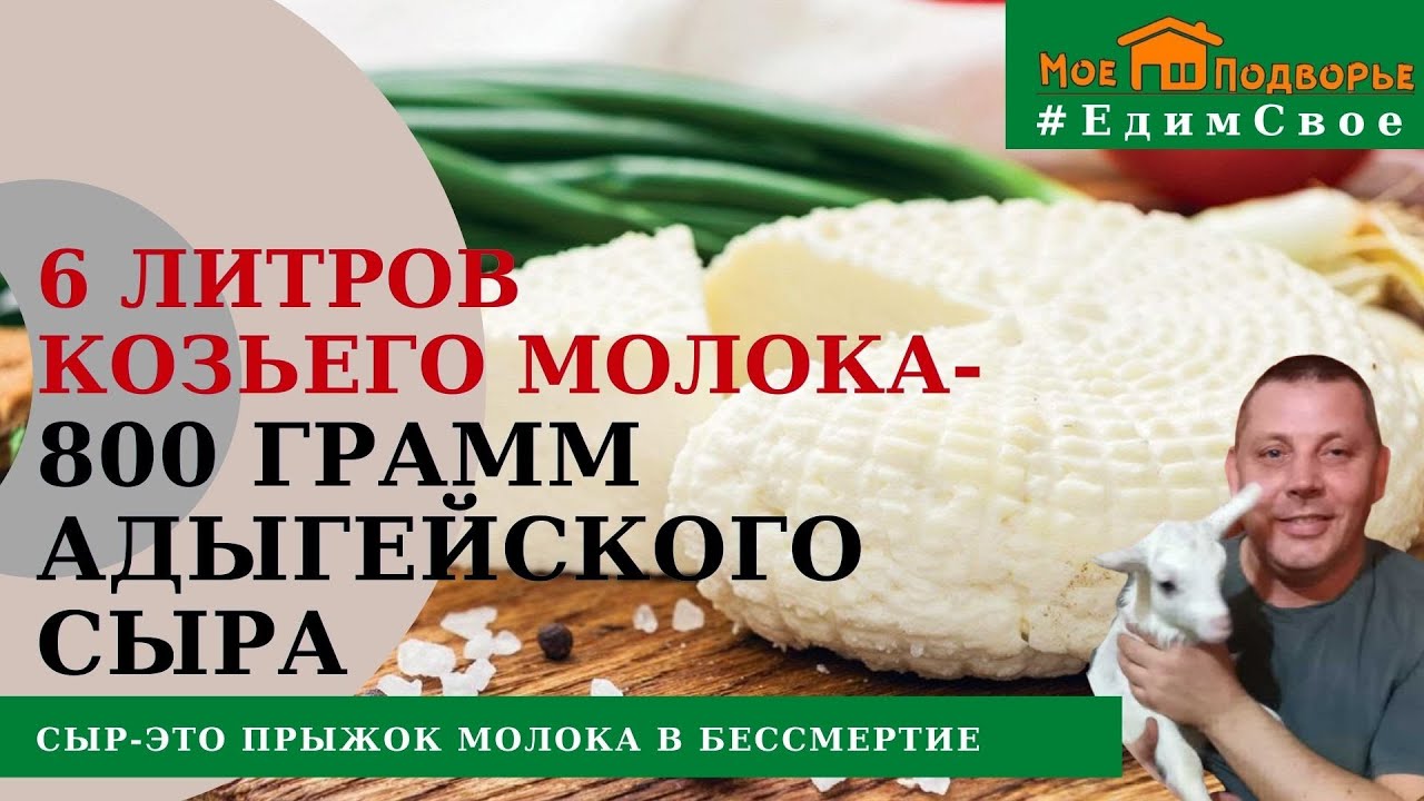 Как приготовить адыгейский сыр из козьего молока в домашних условиях? 