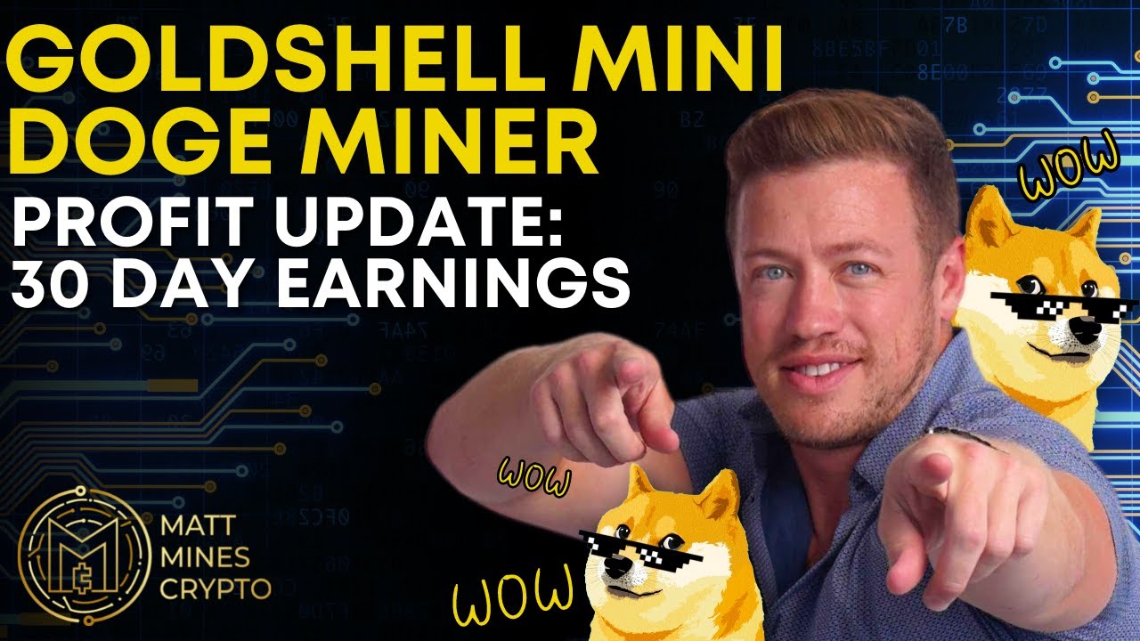 Goldshell Mini-DOGE Miner 30 Day Profit Earnings! (Not EXCITING news!)