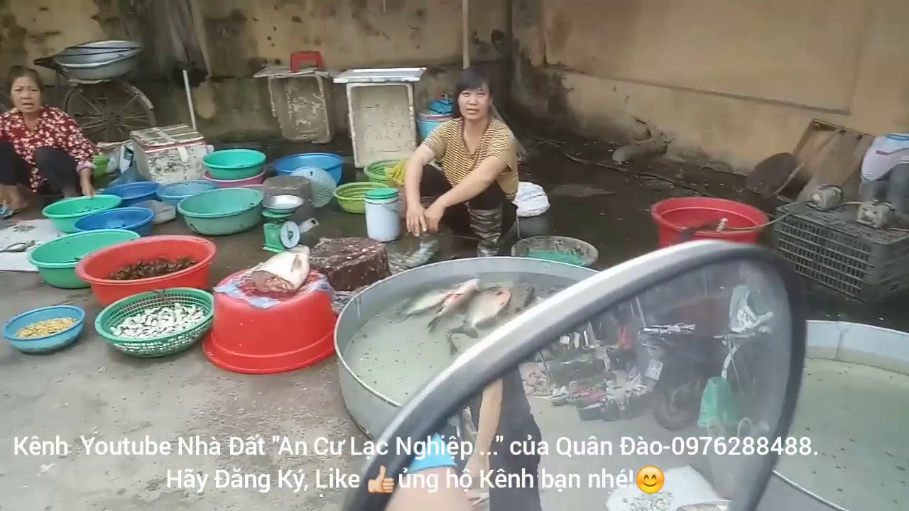 Chợ Cầu Lường (Chợ Quê-chợ phố)Quang thịnh lạng giang #choonlinecauluong #choonlineVIP #cho40