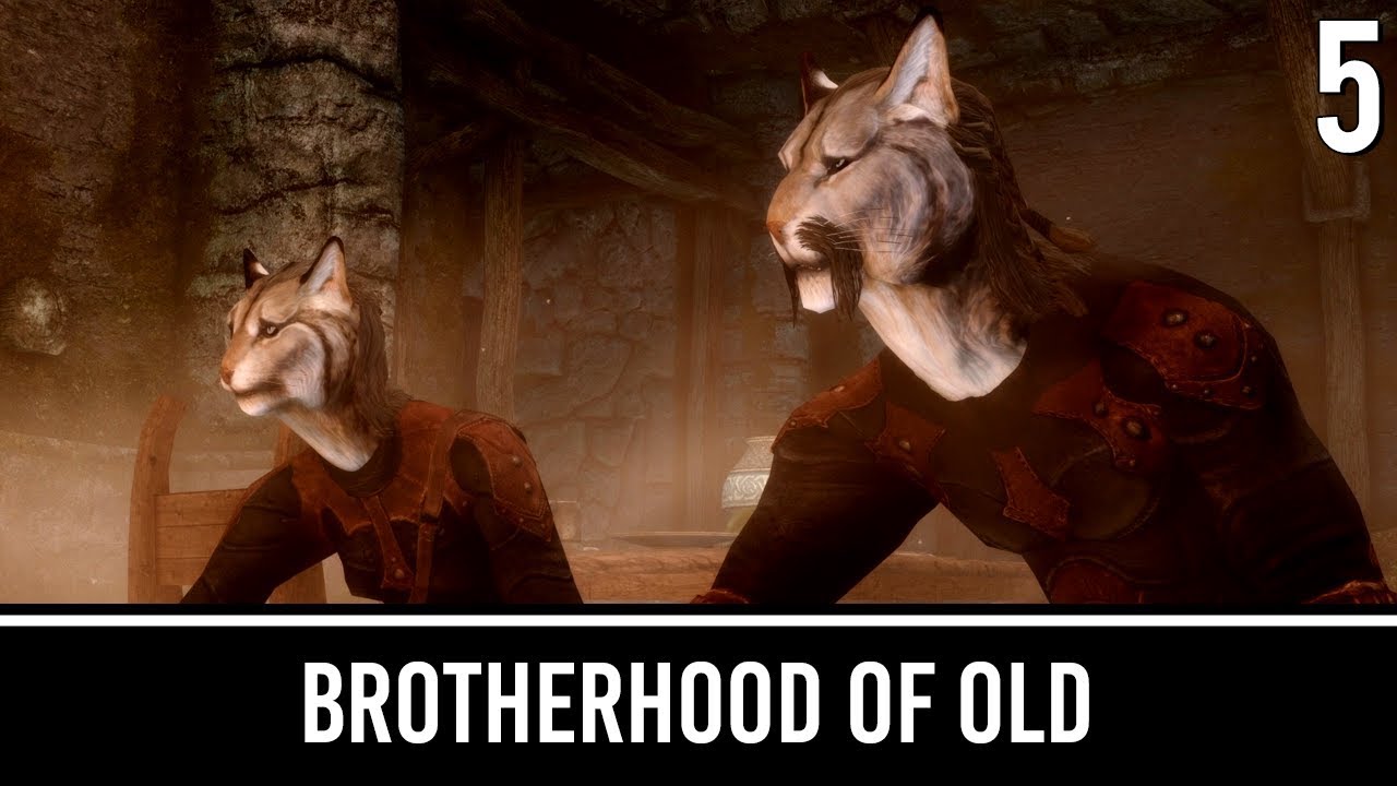 Моды Skyrim: Братство Древних — Часть 5