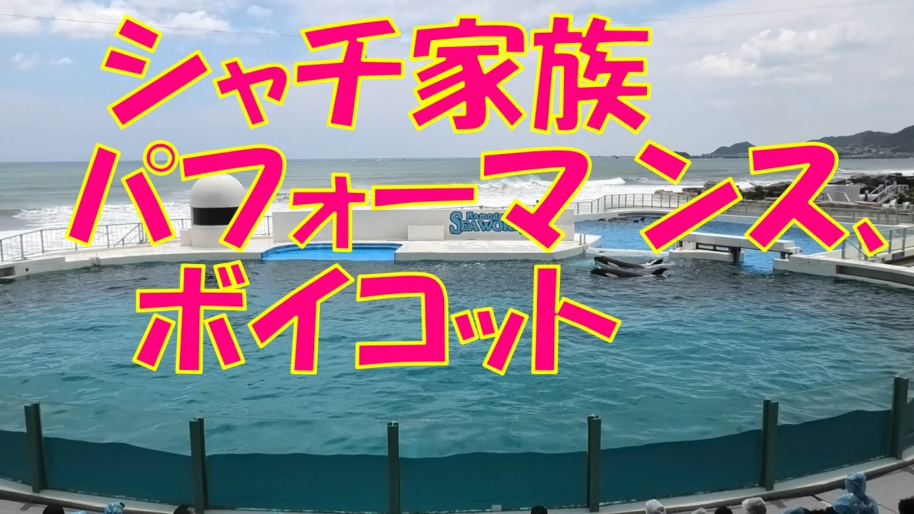 パフォーマンス、全頭ボイコット、シャチパフォーマンス鴨川シーワールド「2021/07/26」（月）11:30～　２回目