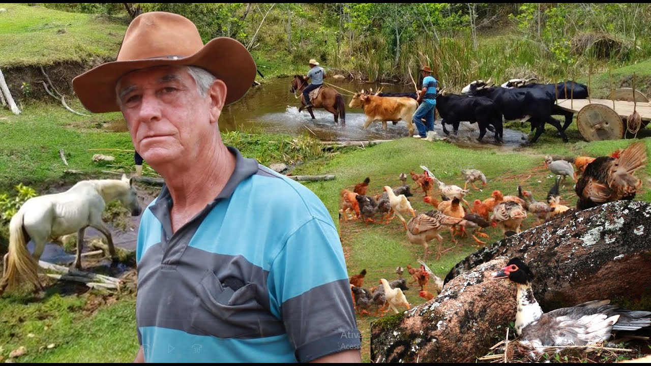 O LINDO SITIO DO VARDINHO E DA DONA LUCIMAR
