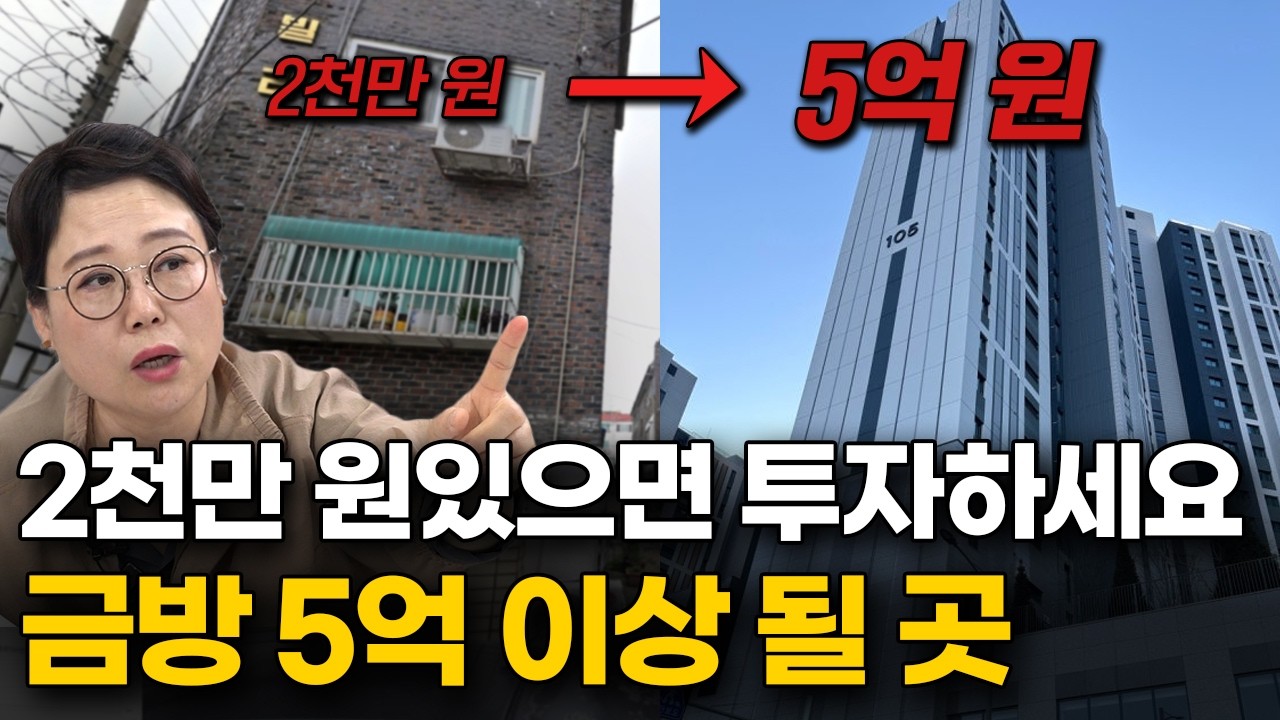'이런 빌라 보이면 무조건 사세요' 오래된 썩은 빌라로도 최소 1억 벌 수 있습니다 (고수의 장바구니)