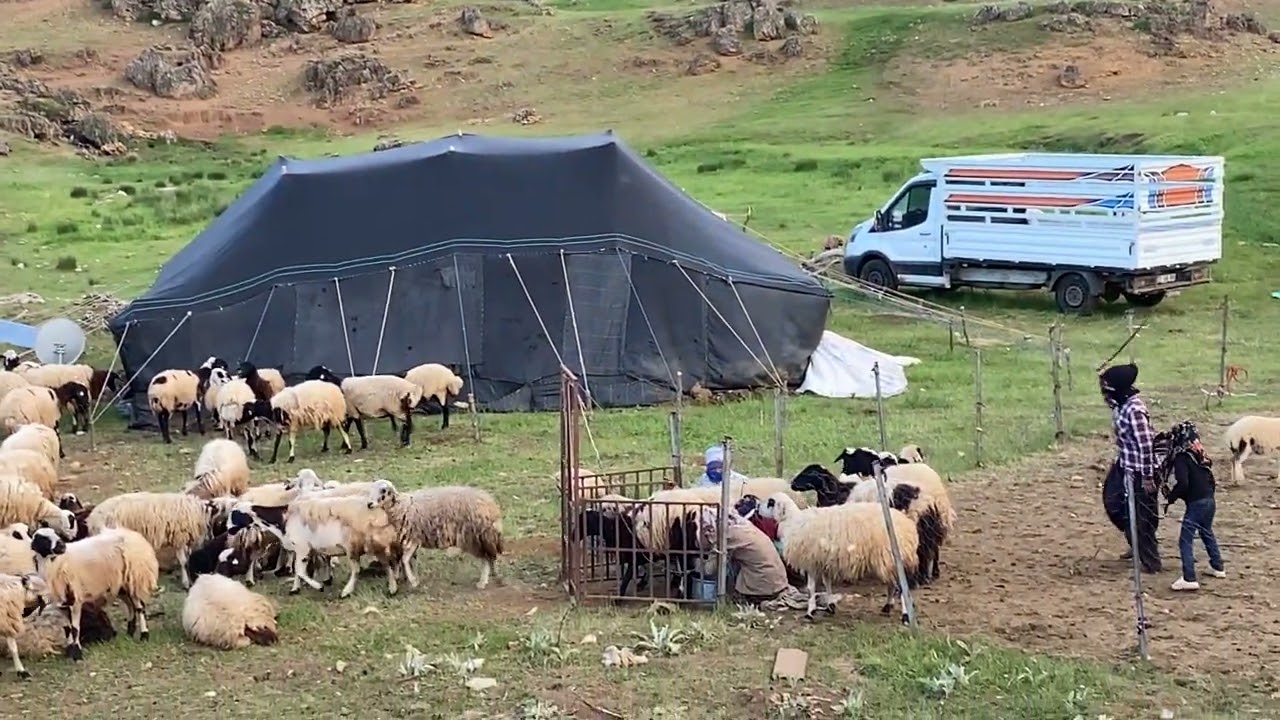 Beritanli Abdulmutalip Beritan aşireti kuşan dağ
