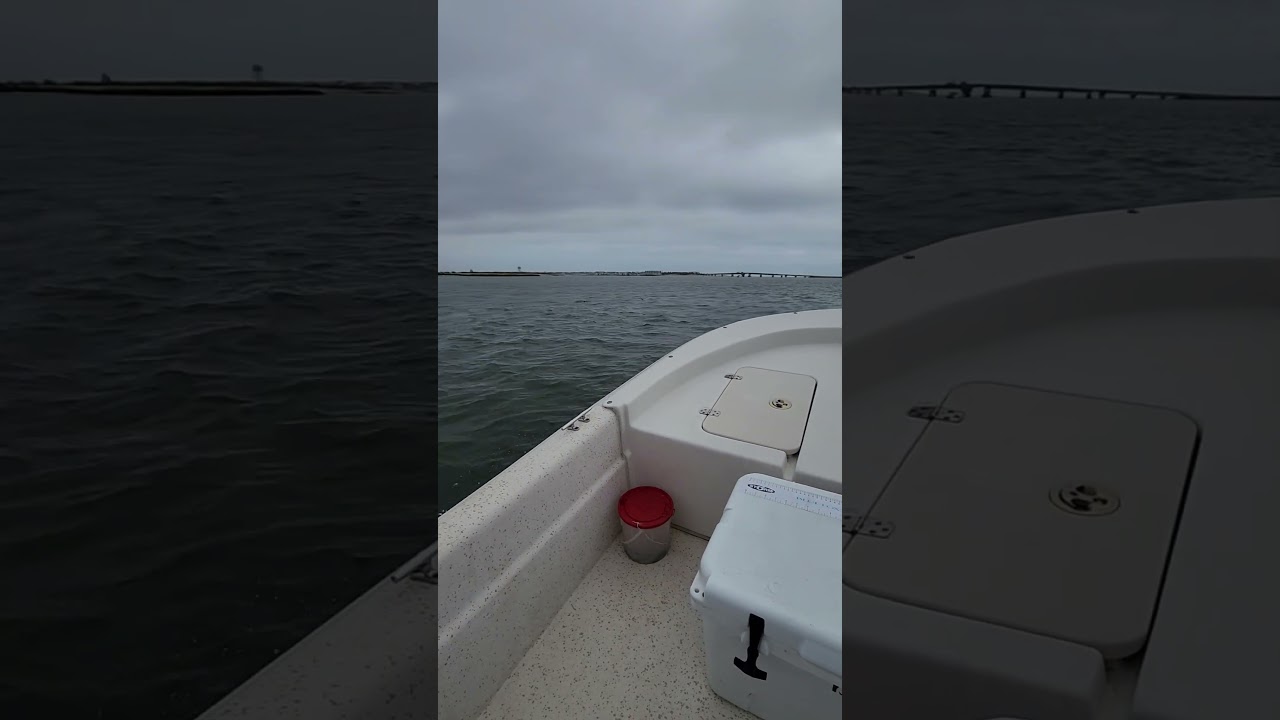 Flounder Season Opener NJ #flounder #flounderfishing #fishing #bay #fluke #jigs #keeper #NJ