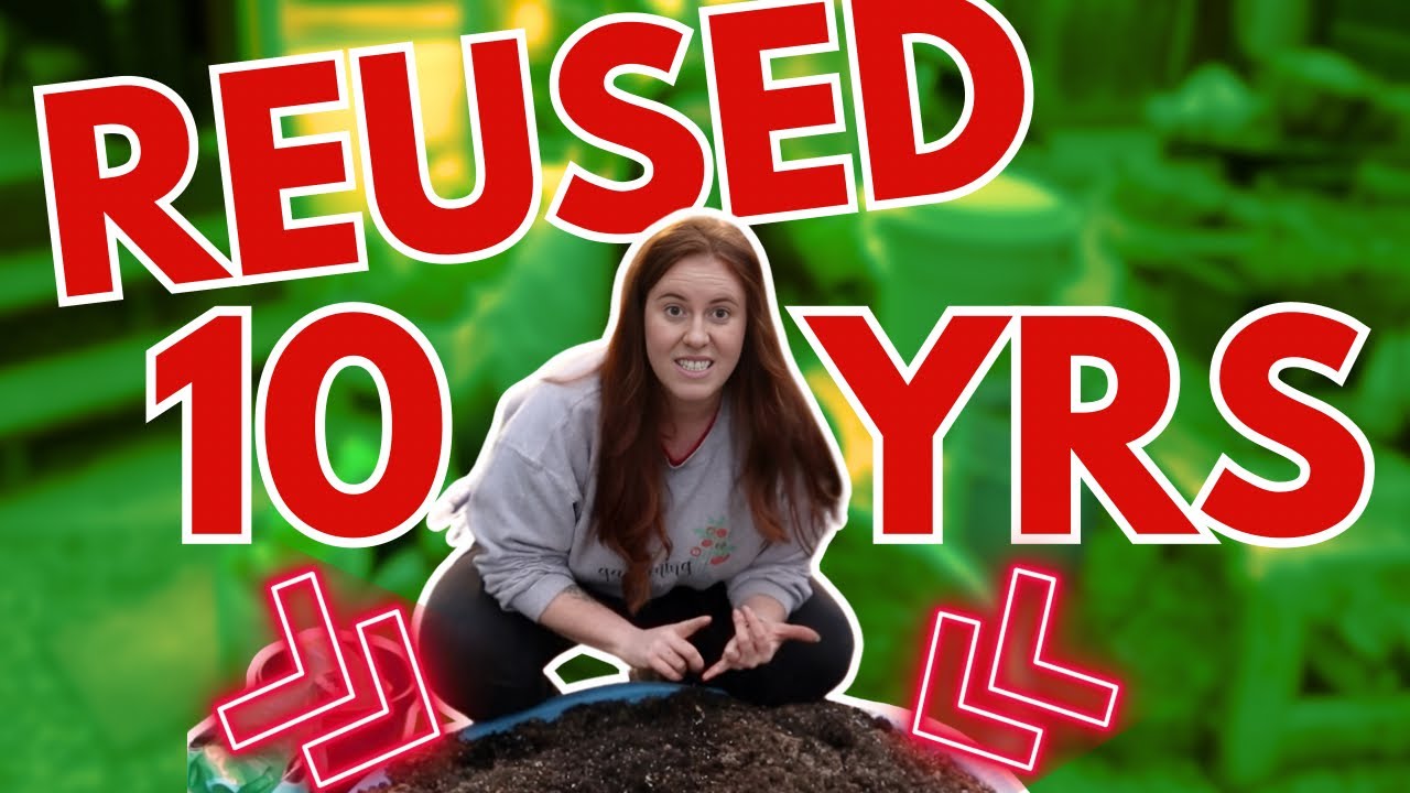 Learn HOW TO Reuse Potting Soil!