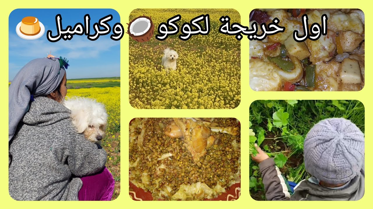 اجواء العروبية 👩🏻‍🌾،طبيعة يا سلام🪻🌼🌿☀️اول خريجة لكوكو 🥥وكراميل🍮 ،عشيوة من يد خويا🥰،رمضان جاي بخيره🍀
