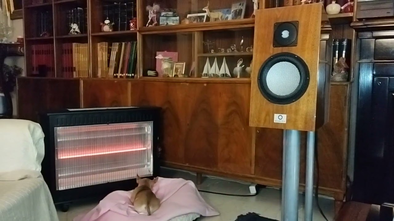 Denon DL110, Audio Research Vsi55 and Marten Duke playing Simple Minds.